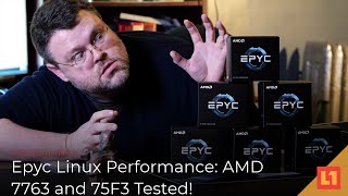 Epyc Linux Performance: AMD 7763 and 75F3 Tested!